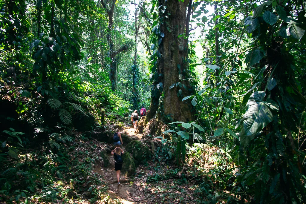 Khám Phá Lost City Ở Colombia: 5 Ngày Đầy Thách Thức