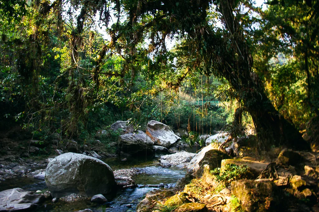 Khám Phá Lost City Ở Colombia: 5 Ngày Đầy Thách Thức