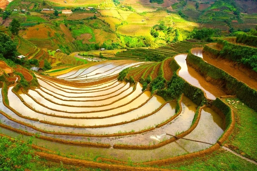 Khám Phá Mu Cang Chai: Hướng Dẫn Du Lịch Chi Tiết Cho Bạn