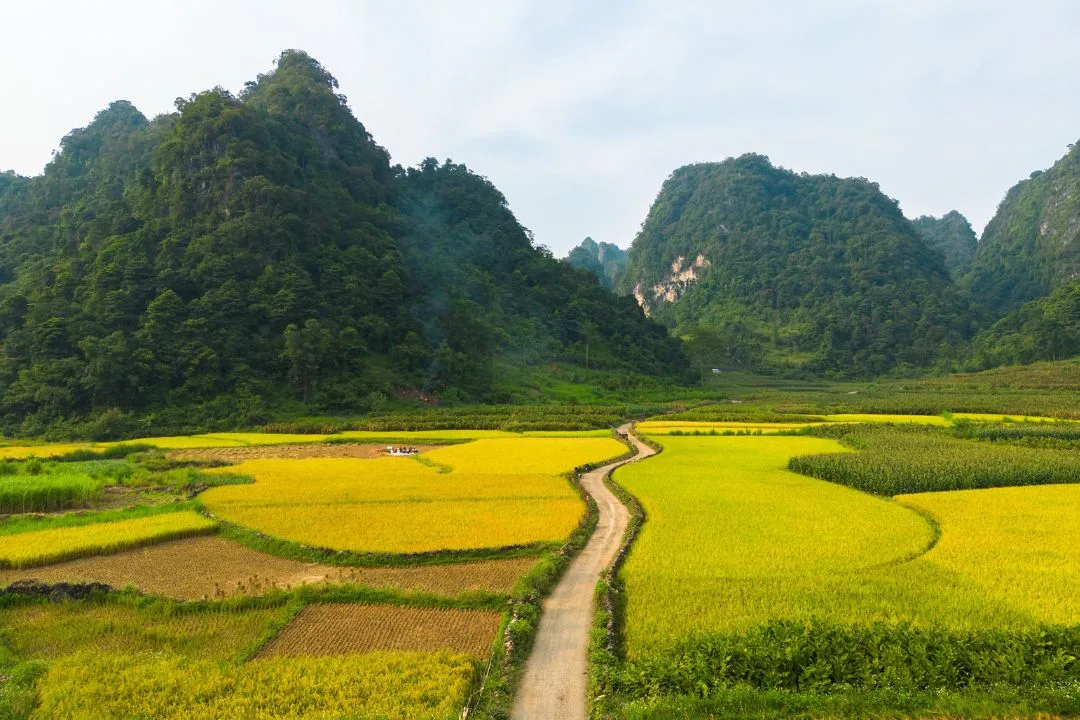 Khám Phá Những Địa Điểm Không Thể Bỏ Qua ở Cao Bằng