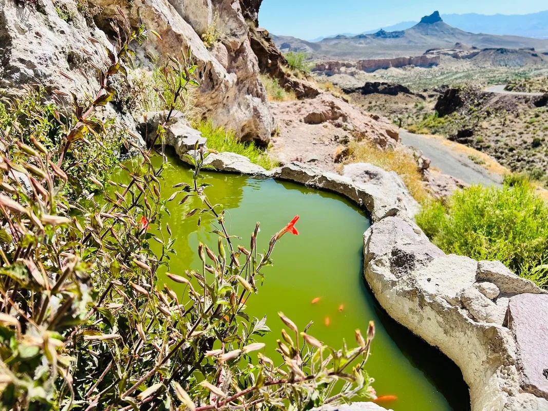 Discovering Unique Stops Along Route 66