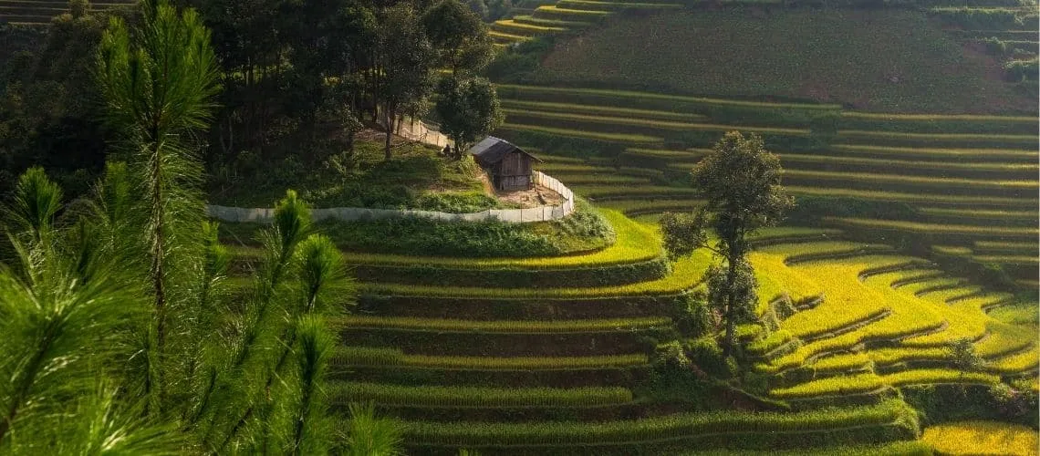 Khám Phá Những Điểm Ngắm Ruộng Bậc Thang Tuyệt Đẹp Ở Mù Cang Chải