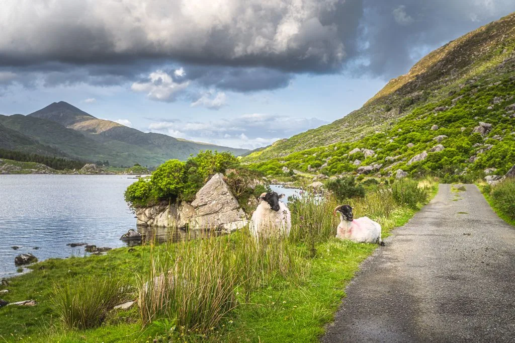 Khám Phá Những Nơi Đẹp Nhất Ireland: Vùng Đất Của Những Câu Chuyện Kỳ Diệu
