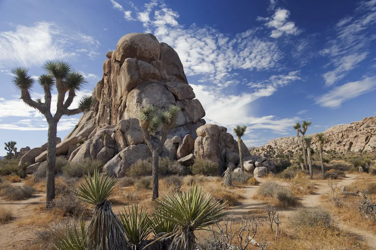 Khám Phá Những Sa Mạc Hùng Vĩ Nhất California