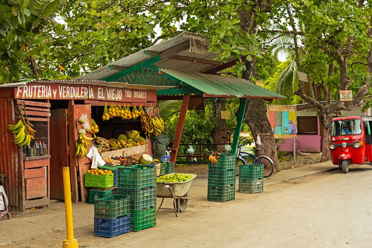 Khám Phá Puerto Viejo: Thị Trấn Năng Động Bên Bờ Biển Caribbe