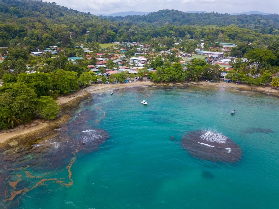 Khám Phá Puerto Viejo: Thị Trấn Năng Động Bên Bờ Biển Caribbe