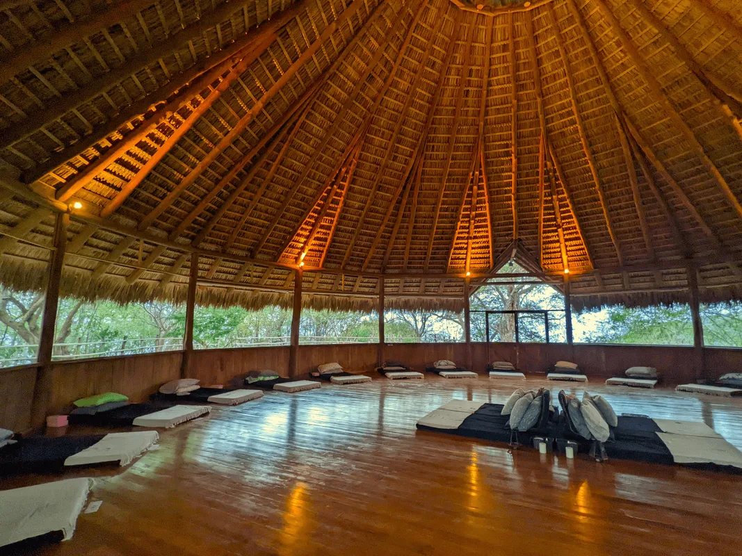 Khám Phá Retreat Ayahuasca: Những Điều Cần Biết và Cách Chọn Lựa