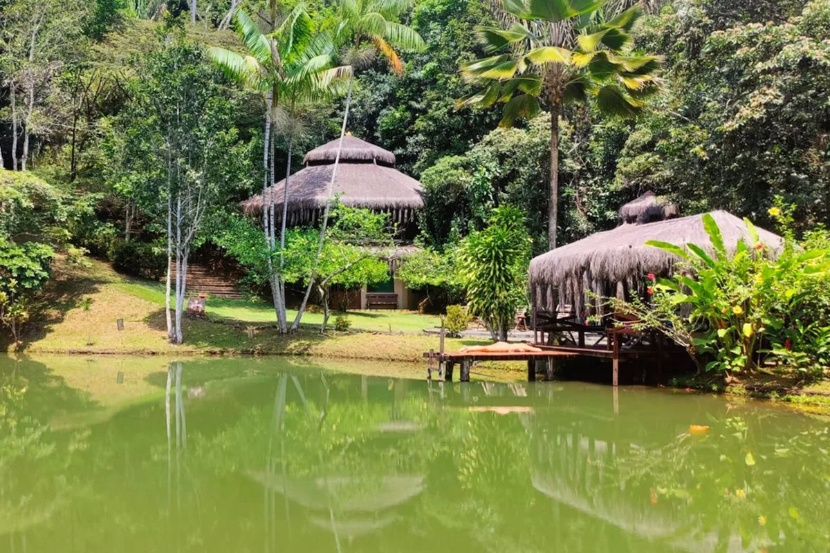 Exploring Ayahuasca Retreats: What You Need to Know and How to Choose