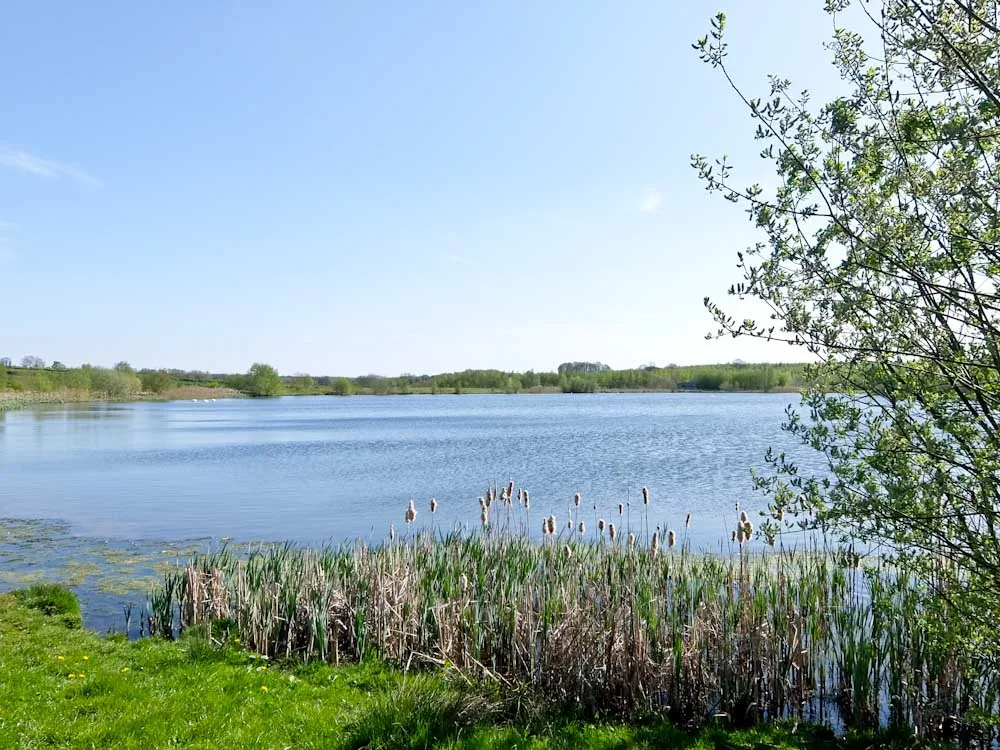Khám Phá Rừng Quốc Gia North Leicestershire: Đi Bộ và Xe Đạp Điện