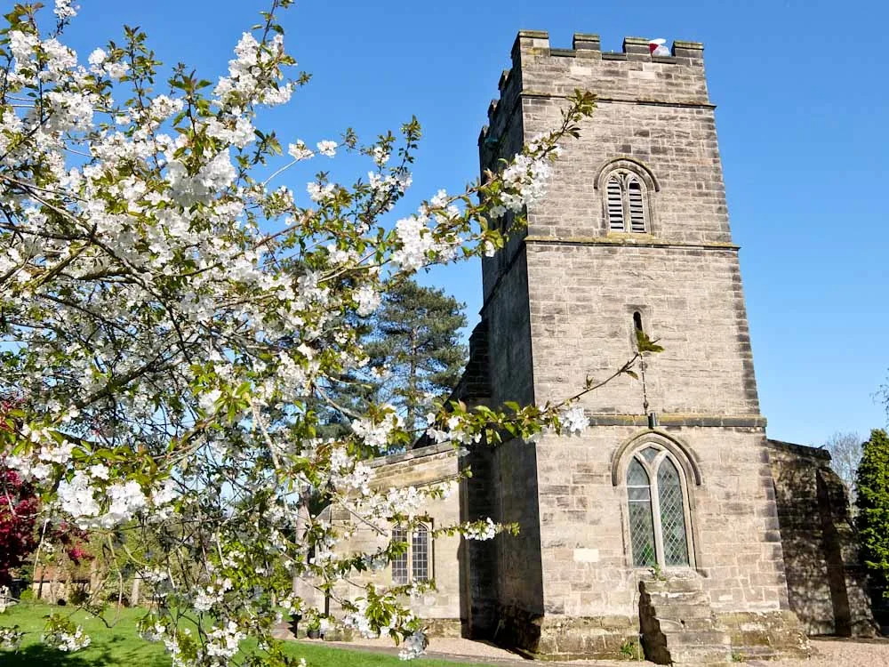 Khám Phá Rừng Quốc Gia North Leicestershire: Đi Bộ và Xe Đạp Điện