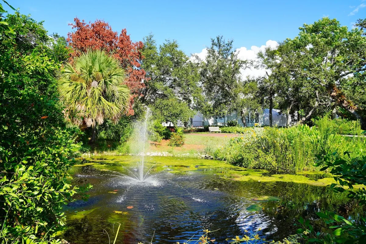 Khám Phá Sarasota: Địa Điểm Du Lịch Không Chỉ Có Biển