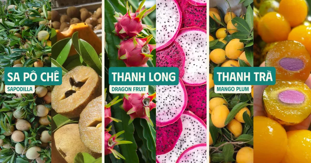 Khám Phá Trái Cây Nhiệt Đới Việt Nam: Những Loại Quả Có Thể Bạn Chưa Biết