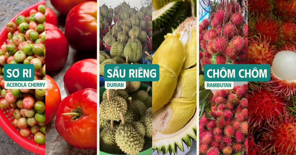 Khám Phá Trái Cây Nhiệt Đới Việt Nam: Những Loại Quả Có Thể Bạn Chưa Biết