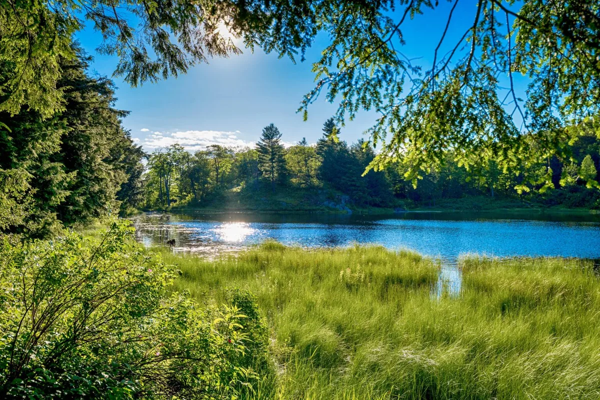 Khám Phá Văn Hóa và Kênh Rạch Tại Thành Phố Đầu Tiên Của Canada