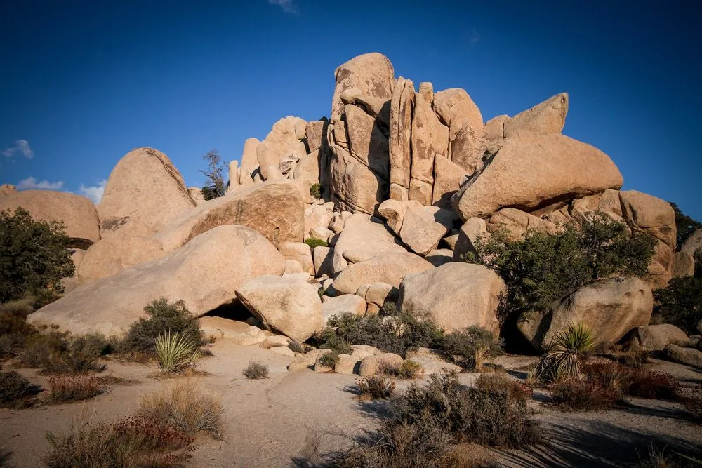 Khám Phá Vẻ Đẹp Huyền Bí Của Công Viên Quốc Gia Joshua Tree