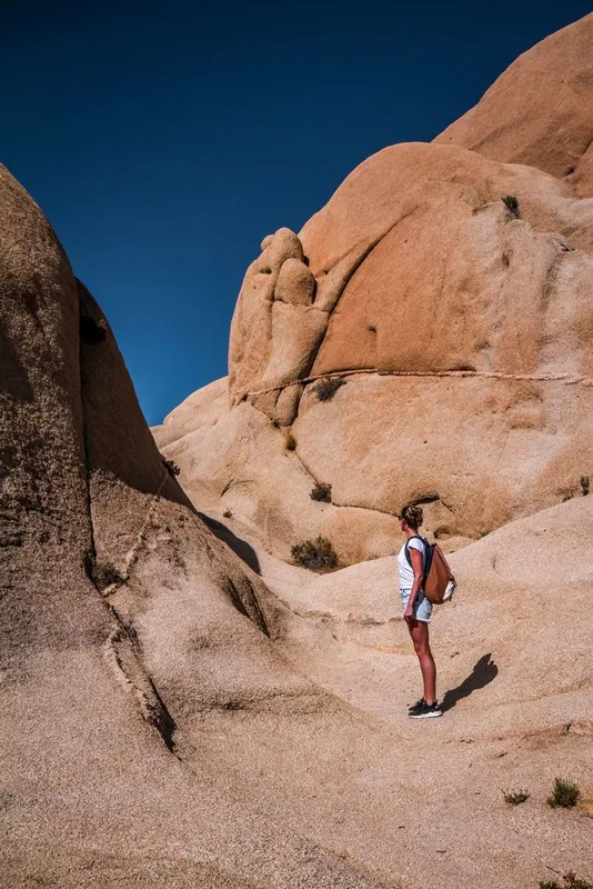 Khám Phá Vẻ Đẹp Huyền Bí Của Công Viên Quốc Gia Joshua Tree