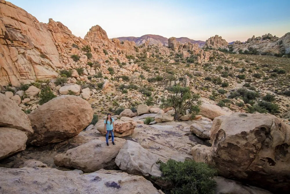 Khám Phá Vẻ Đẹp Huyền Bí Của Công Viên Quốc Gia Joshua Tree