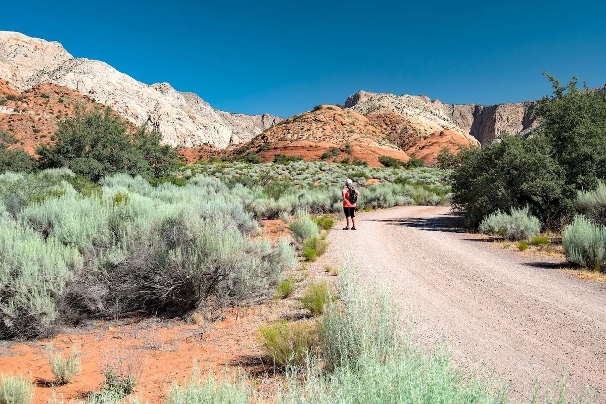Khám Phá Zion và Các Hoạt Động Hấp Dẫn Ở Nam Utah