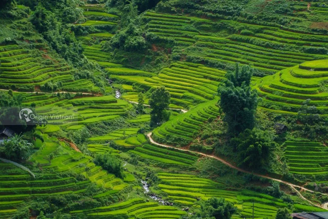 Lang Thang Khám Phá Những Bản Làng Ẩn Mình Ở Sapa