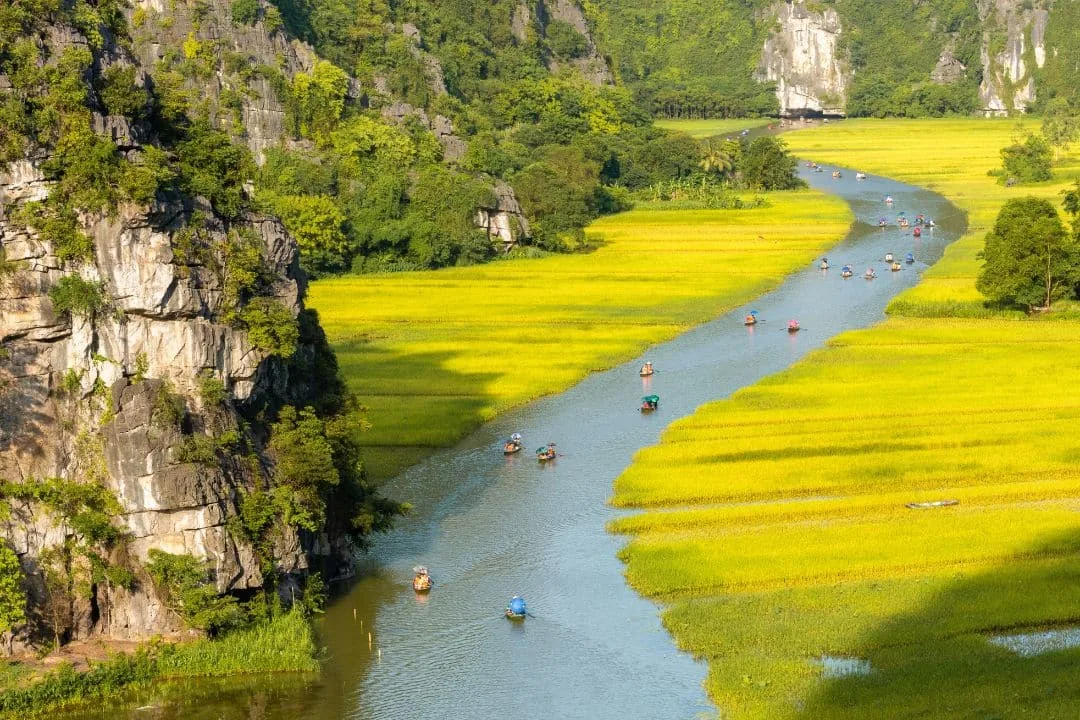 Lịch Trình Một Ngày Khám Phá Ninh Bình: Hành Trình Đáng Nhớ Từ Hà Nội