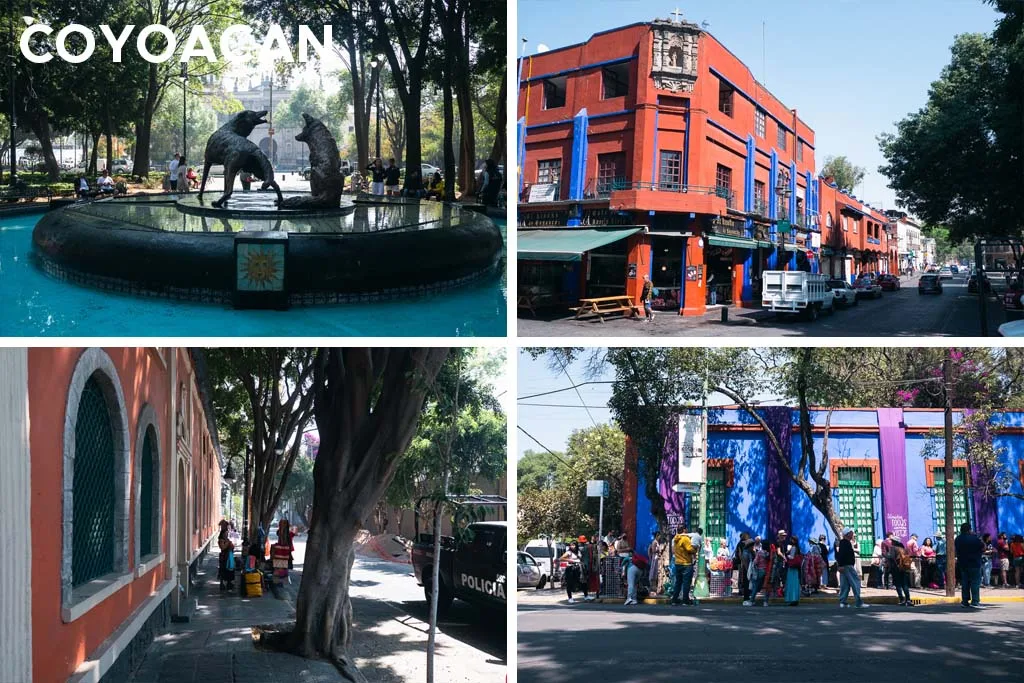 Lựa Chọn Nơi Nghỉ Ngơi Tại Thành Phố Mexico: Kinh Nghiệm Và Gợi Ý