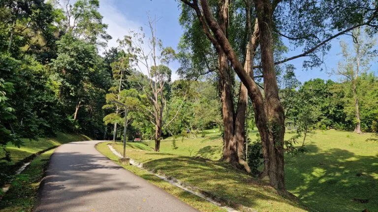 Penang, Hòn Đảo Giữa Biển Cả: Hơn Cả George Town