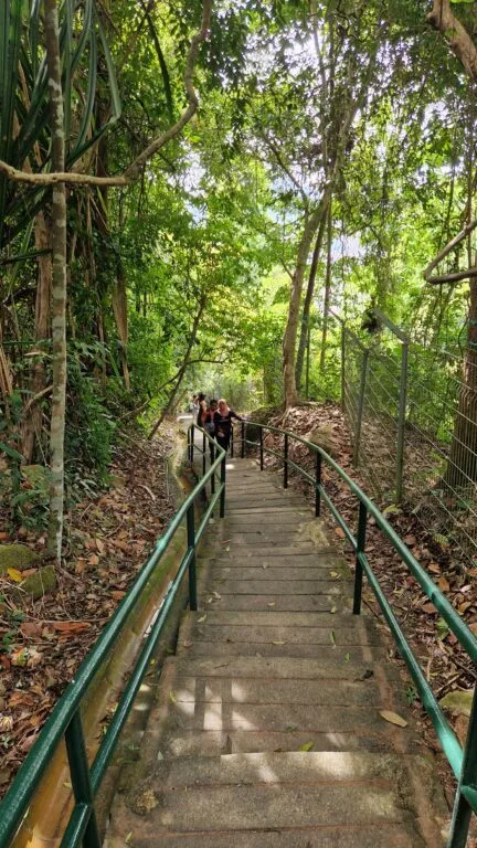 Penang, Hòn Đảo Giữa Biển Cả: Hơn Cả George Town