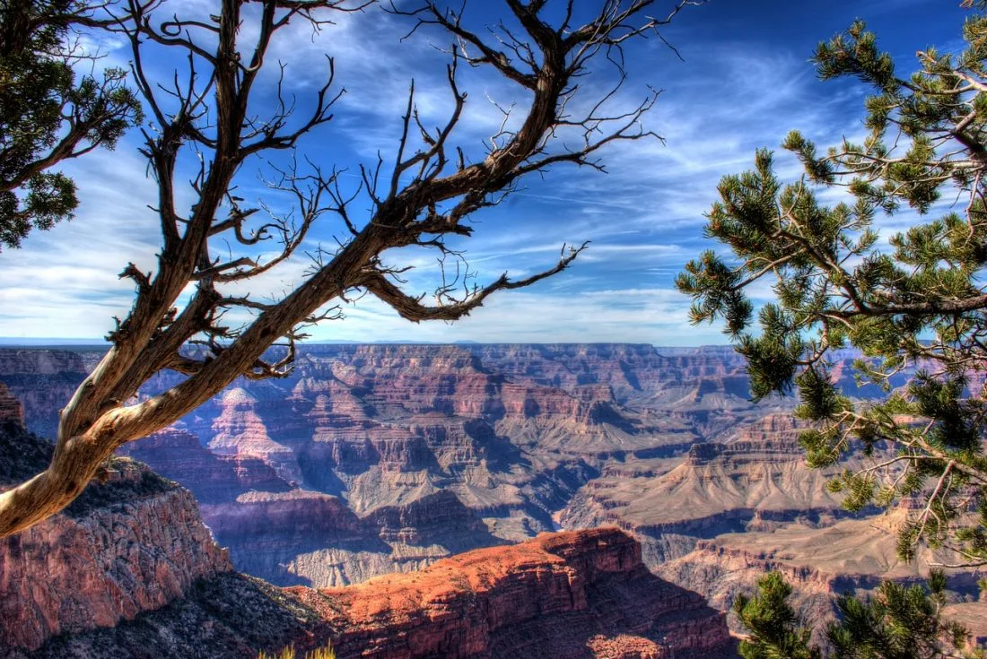 Road Trip Khám Phá Arizona: Những Điểm Đến Không Thể Bỏ Qua