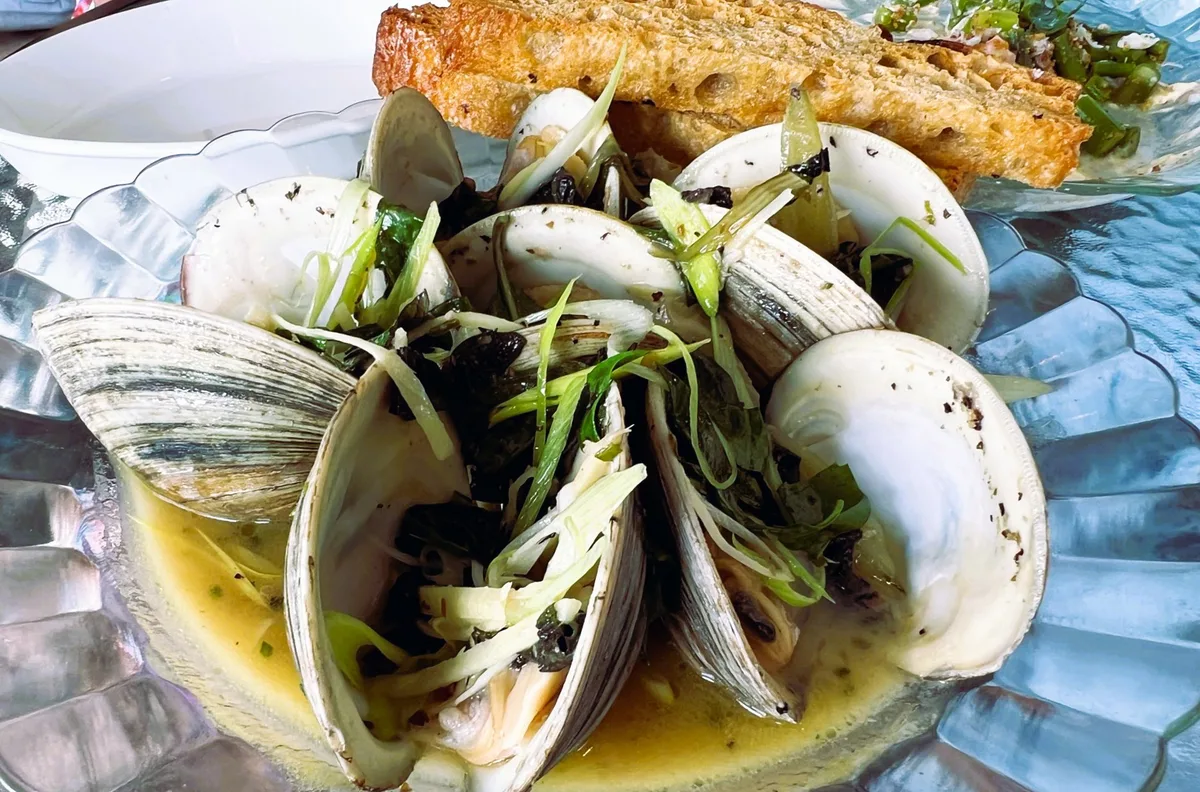 Exploring the Flavors of Rome through Family Trattorias
