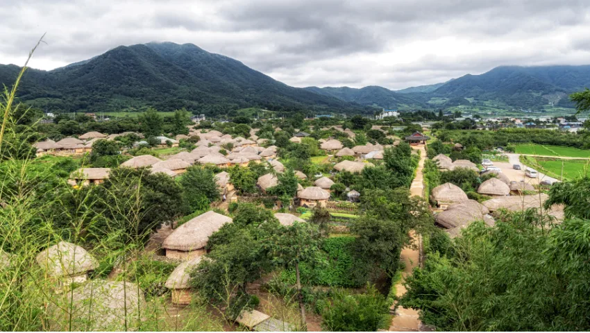 Springtime Splendor in South Korea: More Than Just the Scenery