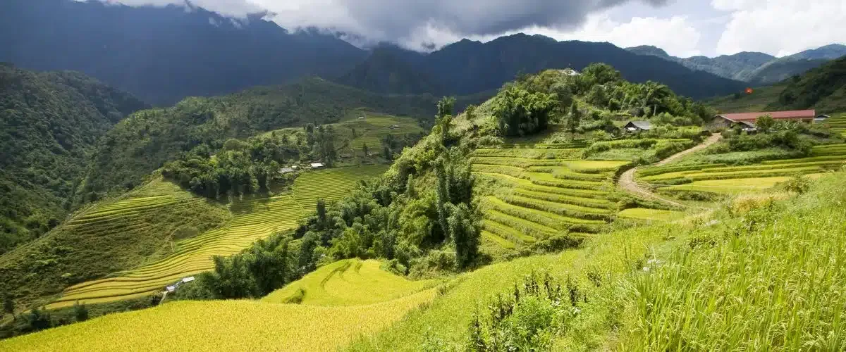 Sapa: Vẽ Lên Chuyến Đi Giữa Núi Rừng Tây Bắc