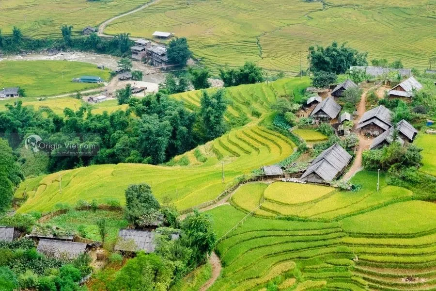 Sapa: Vẽ Lên Chuyến Đi Giữa Núi Rừng Tây Bắc