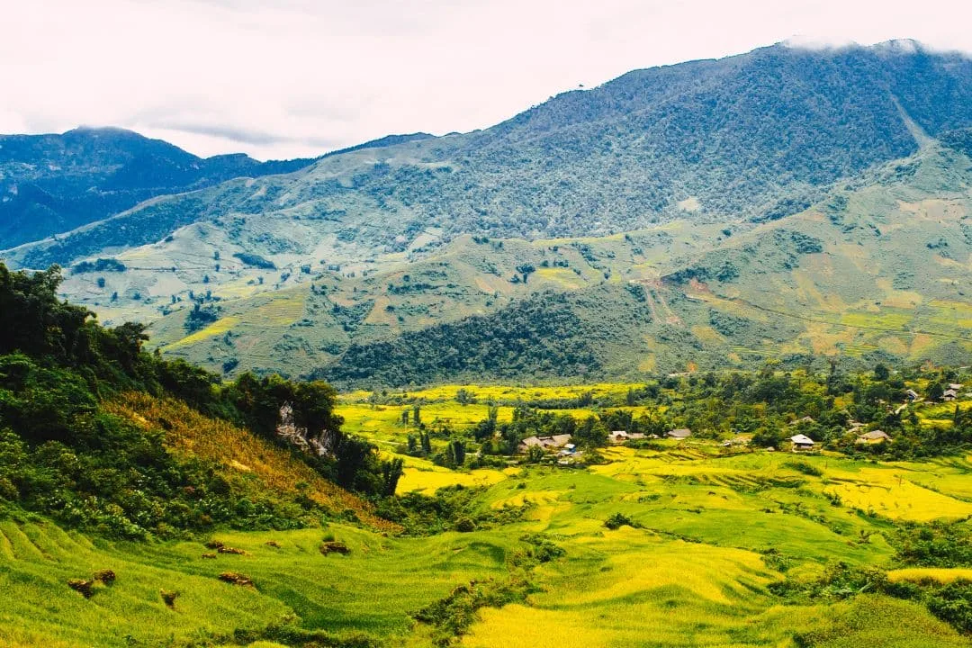 Sapa: Vẽ Lên Chuyến Đi Giữa Núi Rừng Tây Bắc