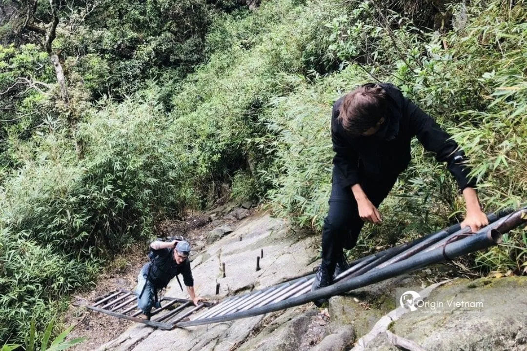 Sapa: Vẽ Lên Chuyến Đi Giữa Núi Rừng Tây Bắc