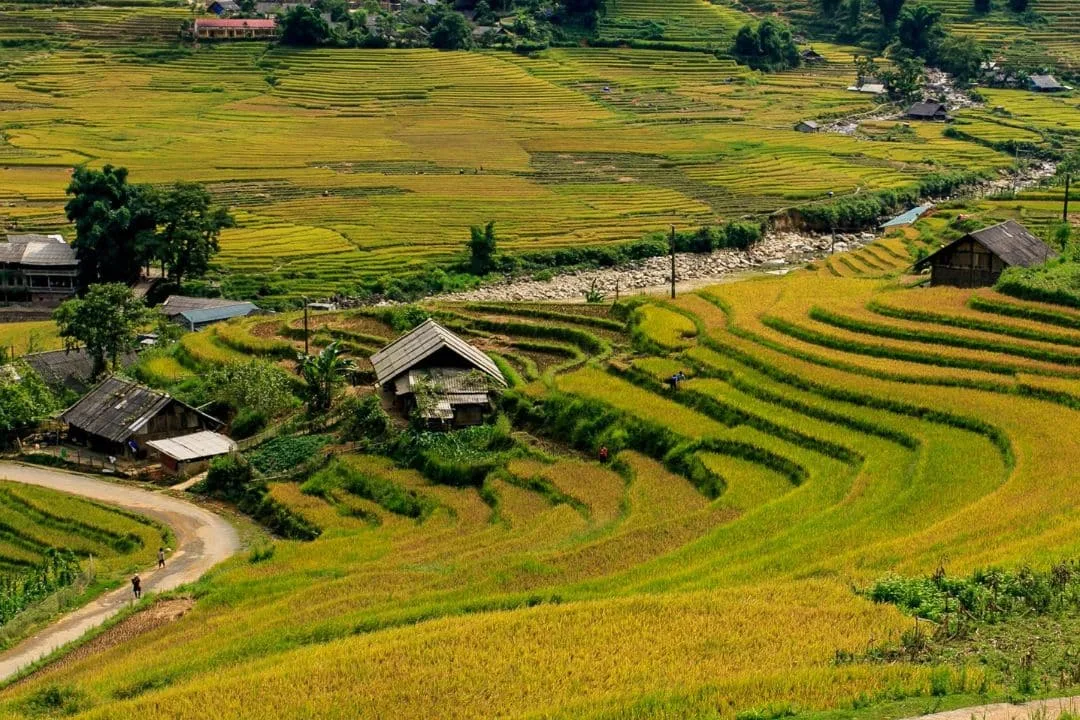 So Sánh Mu Cang Chai và Sapa: Điểm Đến Nào Thích Hợp Hơn Cho Chuyến Đi Của Bạn?