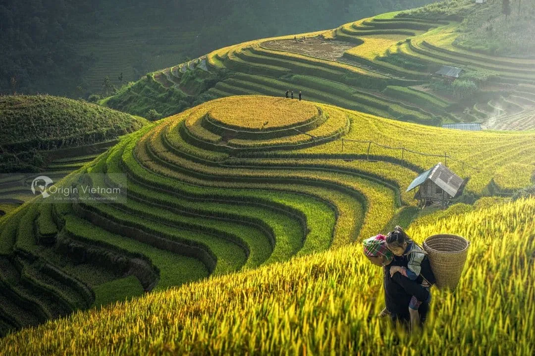 So Sánh Mu Cang Chai và Sapa: Điểm Đến Nào Thích Hợp Hơn Cho Chuyến Đi Của Bạn?