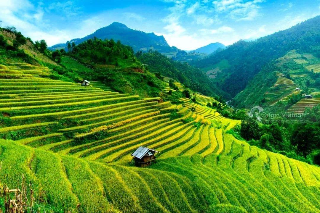 So Sánh Mu Cang Chai và Sapa: Điểm Đến Nào Thích Hợp Hơn Cho Chuyến Đi Của Bạn?