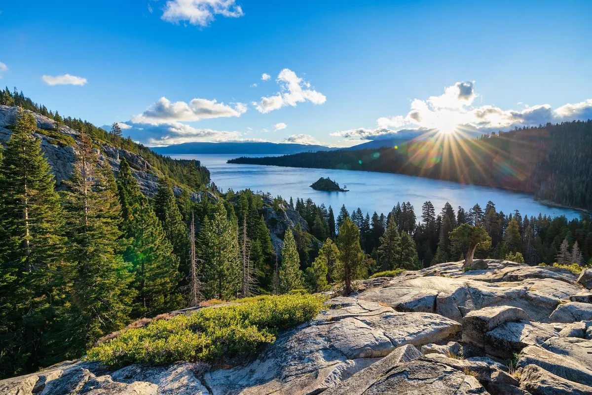 Tại sao Dịch vụ Rừng Mỹ Muốn Phun Thuốc Diệt Cỏ Gần Hồ Tahoe?