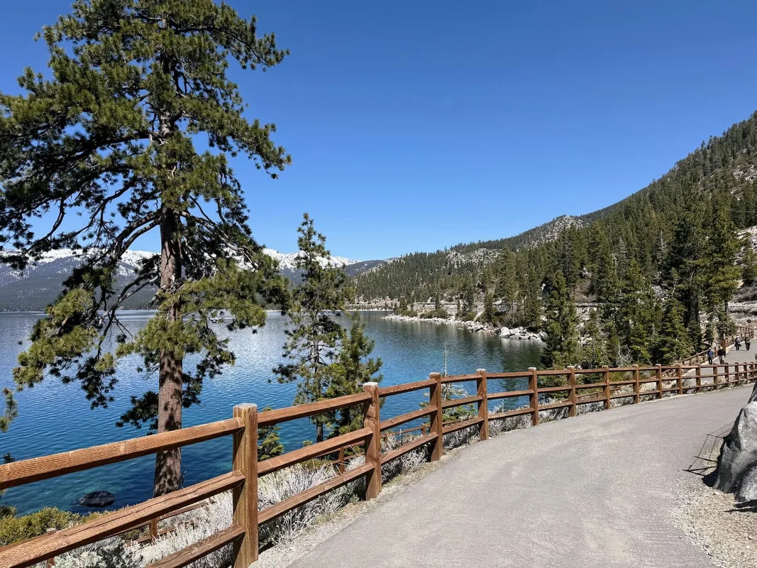 Tại sao Dịch vụ Rừng Mỹ Muốn Phun Thuốc Diệt Cỏ Gần Hồ Tahoe?