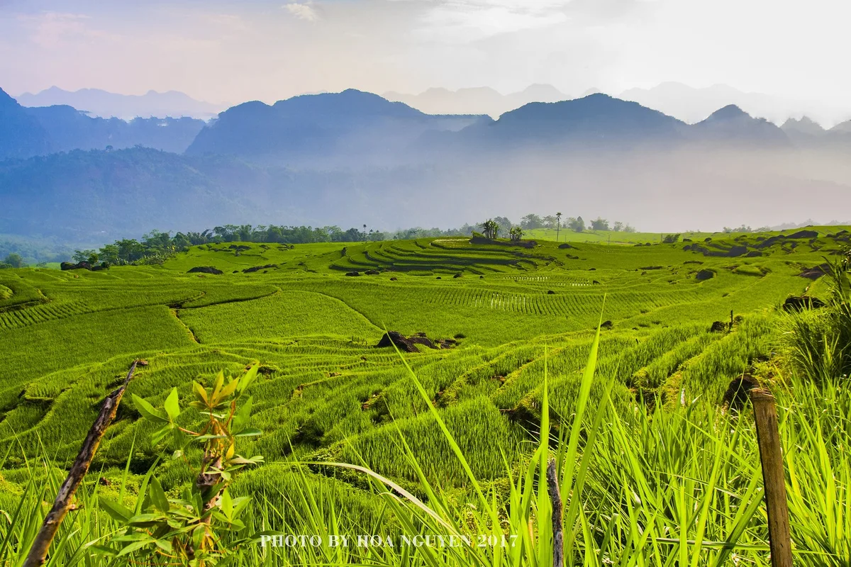 Thiên Nhiên Hoang Dã Việt Nam: Những Địa Điểm Không Thể Bỏ Lỡ
