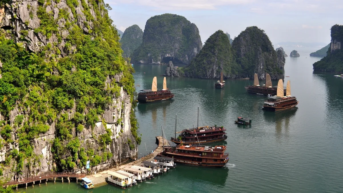 Thiên Nhiên Hoang Dã Việt Nam: Những Địa Điểm Không Thể Bỏ Lỡ