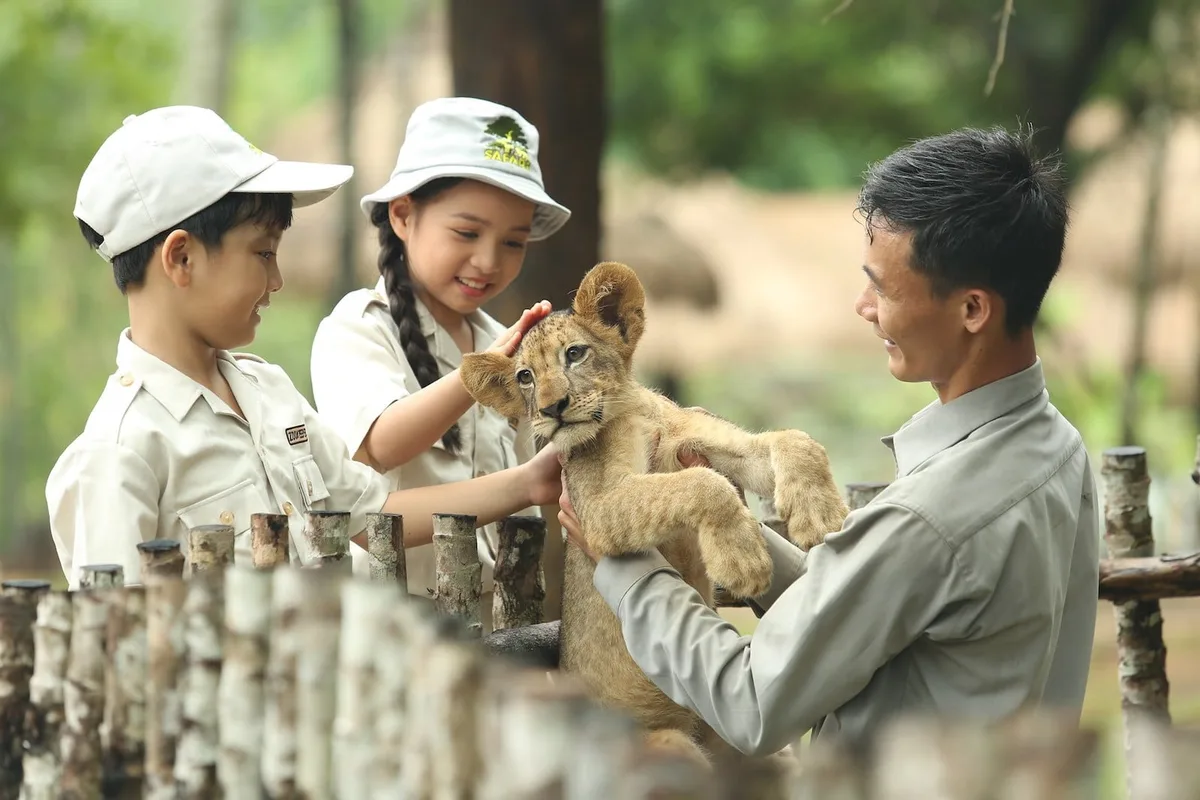 Thiên Nhiên Hoang Dã Việt Nam: Những Địa Điểm Không Thể Bỏ Lỡ
