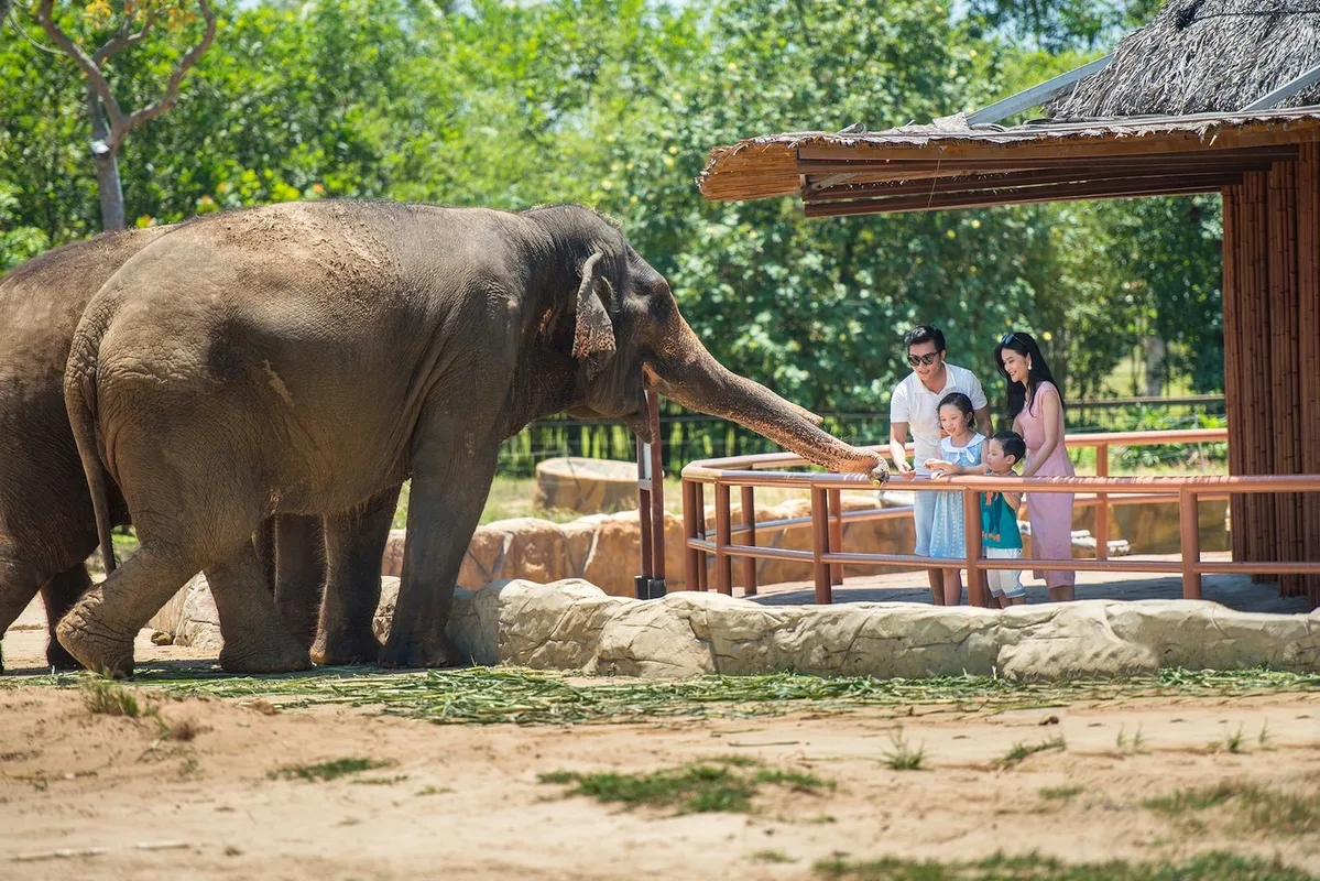 Top Địa Điểm Ngắm Động Vật Hoang Dã Tại Việt Nam