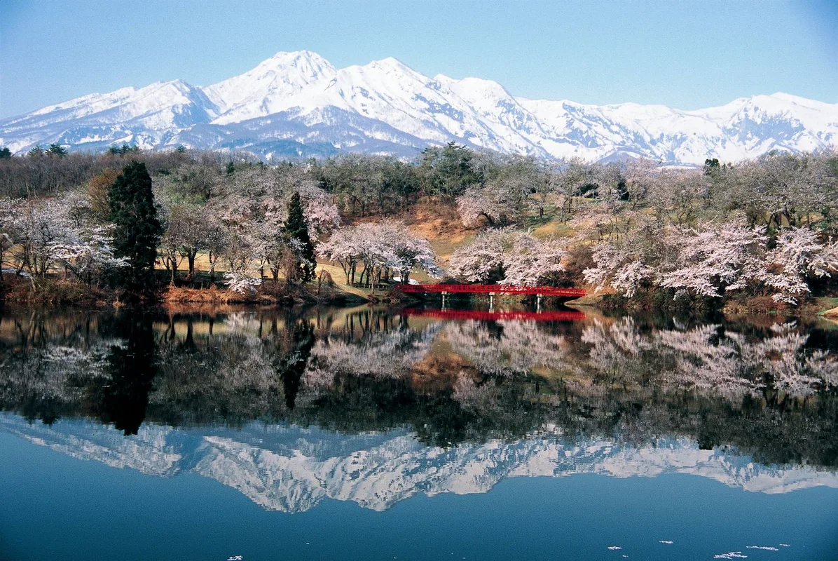 Trải Nghiệm Niigata: Tuyệt Đỉnh Trượt Tuyết, Hải Sản & Rượu Sake Nhật Bản