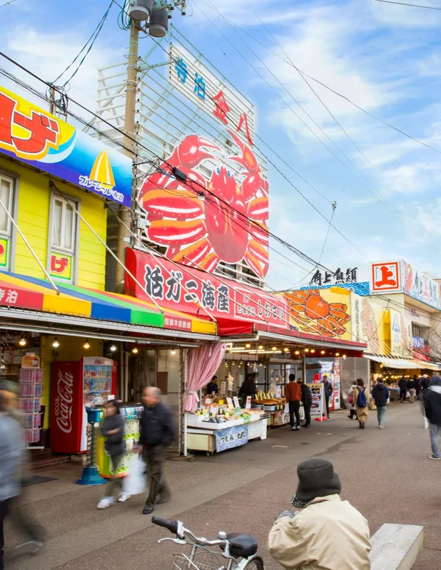 Trải Nghiệm Niigata: Tuyệt Đỉnh Trượt Tuyết, Hải Sản & Rượu Sake Nhật Bản