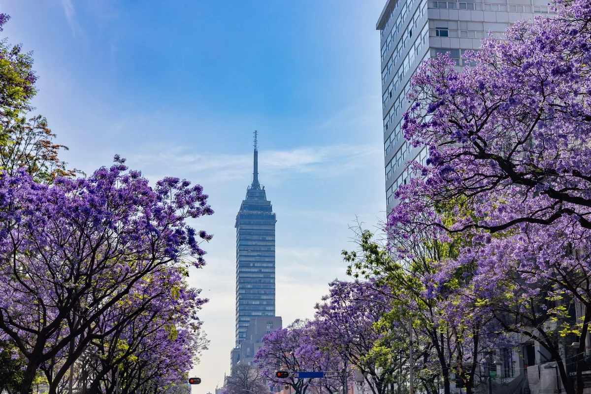 Tránh Xa Đám Đông Sakura Tại Những Lễ Hội Hoa Ít Nổi Tiếng Hơn