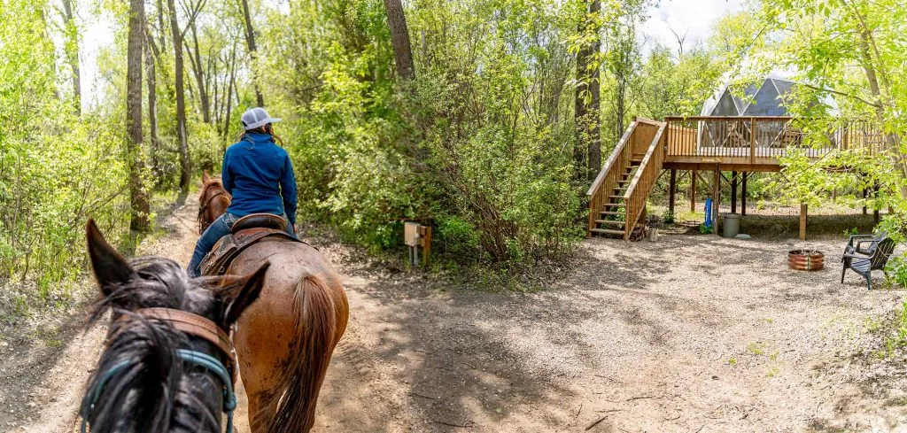 Discover 5 Luxurious Resorts and Glamping Spots Near Saskatoon