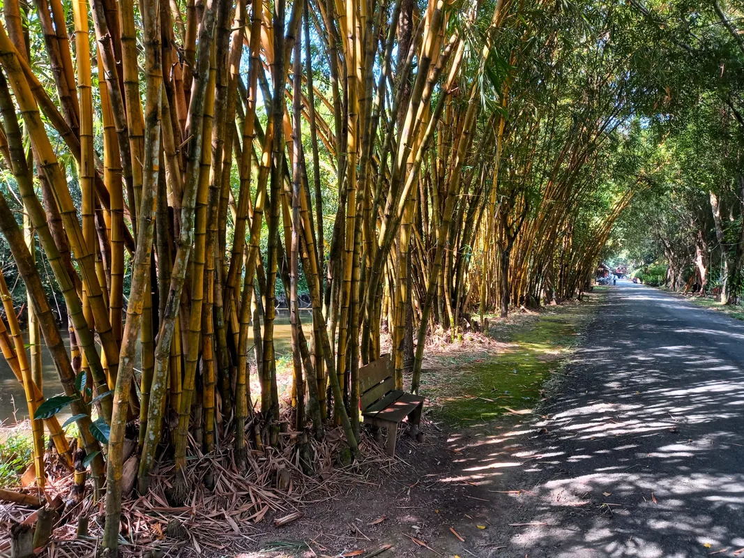 Xẻo Quýt: Khu Rừng Bí Ẩn Ngay Gần Sài Gòn